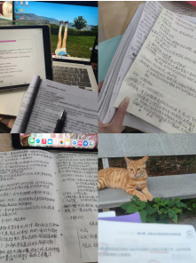1780501330307031.png